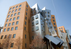 Stata Center